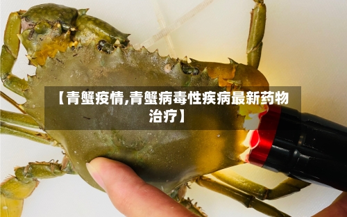 【青蟹疫情,青蟹病毒性疾病最新药物治疗】-第1张图片