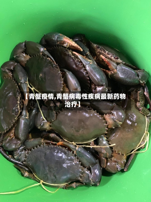 【青蟹疫情,青蟹病毒性疾病最新药物治疗】-第3张图片
