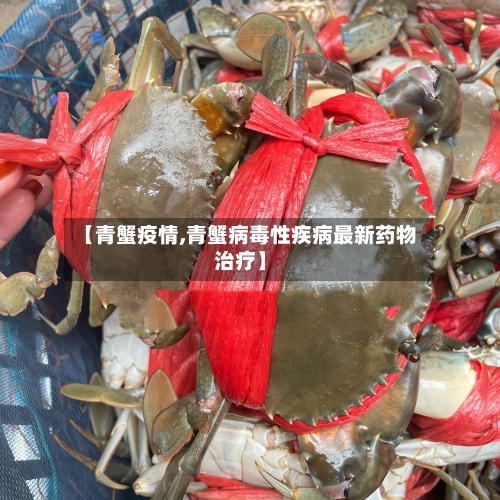 【青蟹疫情,青蟹病毒性疾病最新药物治疗】-第2张图片