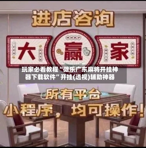 玩家必看教程“微乐广东麻将开挂神器下载软件	”开挂(透视)辅助神器-第2张图片