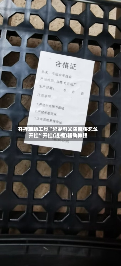 开挂辅助工具“越乡游义乌麻将怎么开挂	”开挂(透视)辅助教程-第3张图片