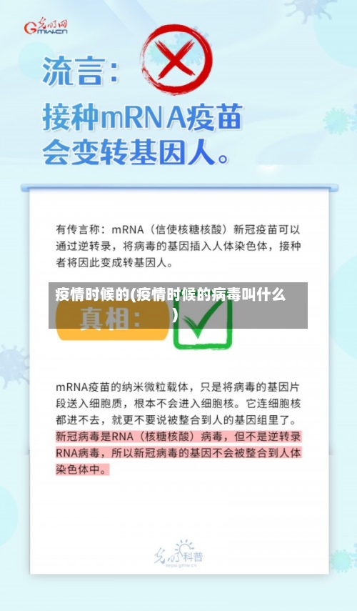 疫情时候的(疫情时候的病毒叫什么)