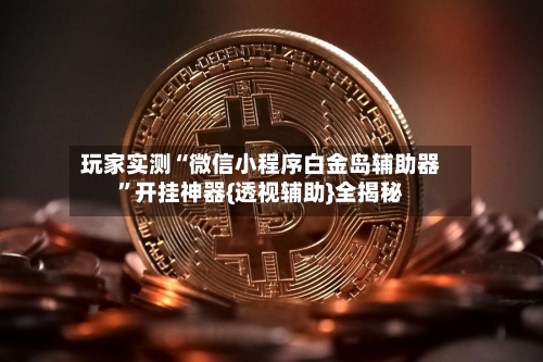 玩家实测“微信小程序白金岛辅助器”开挂神器{透视辅助}全揭秘