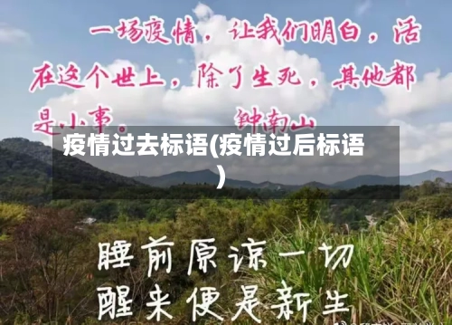 疫情过去标语(疫情过后标语)-第3张图片