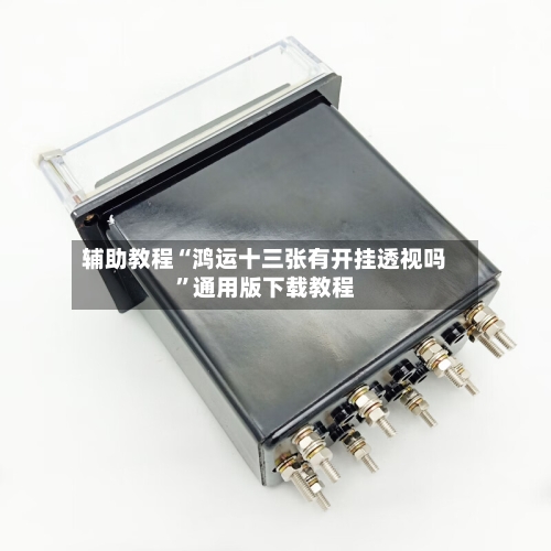 辅助教程“鸿运十三张有开挂透视吗”通用版下载教程-第1张图片