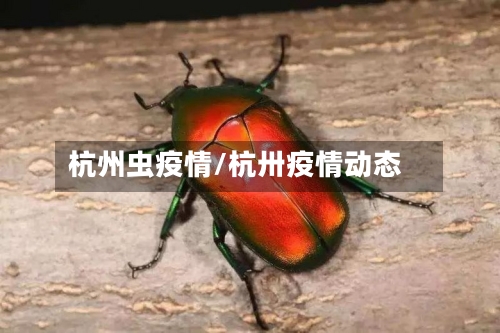 杭州虫疫情/杭卅疫情动态-第2张图片