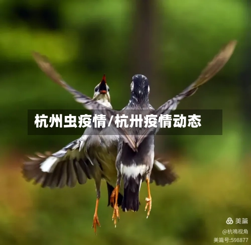 杭州虫疫情/杭卅疫情动态-第3张图片