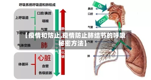 【疫情和防止,疫情防止肺结节的呼吸秘密方法】-第2张图片