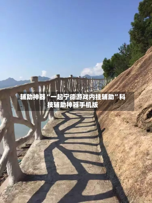 辅助神器“一起宁德游戏内挂辅助”科技辅助神器手机版-第3张图片