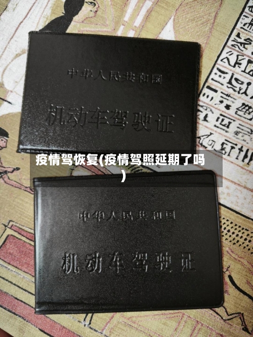 疫情驾恢复(疫情驾照延期了吗)-第2张图片