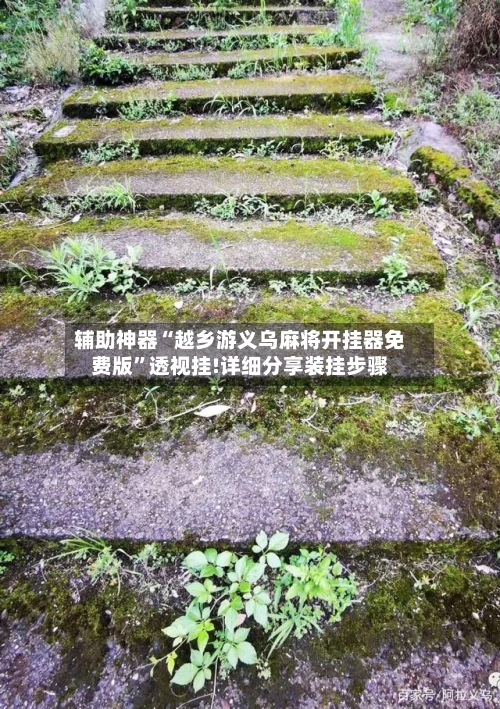 辅助神器“越乡游义乌麻将开挂器免费版	”透视挂!详细分享装挂步骤-第2张图片