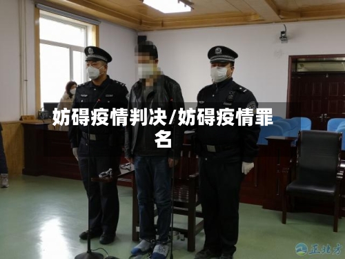 妨碍疫情判决/妨碍疫情罪名-第3张图片