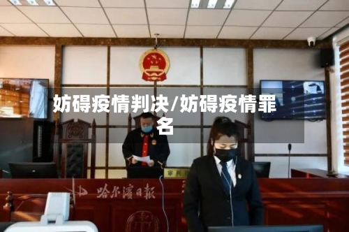 妨碍疫情判决/妨碍疫情罪名