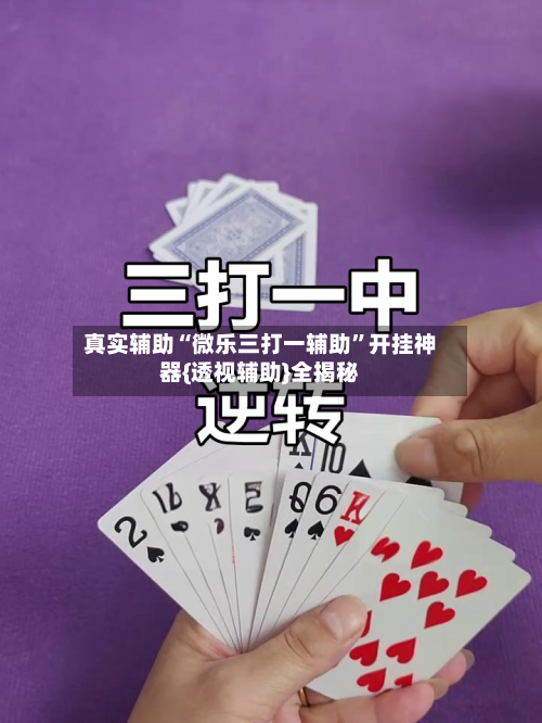 真实辅助“微乐三打一辅助”开挂神器{透视辅助}全揭秘-第2张图片