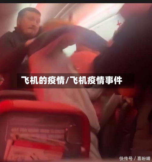 飞机的疫情/飞机疫情事件-第1张图片