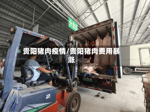 贵阳猪肉疫情/贵阳猪肉费用暴涨-第3张图片