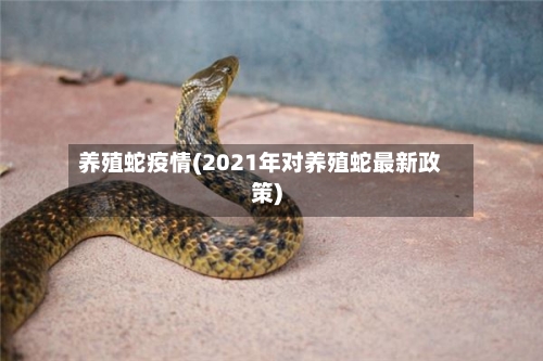 养殖蛇疫情(2021年对养殖蛇最新政策)-第1张图片
