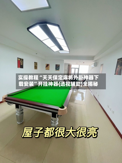 实操教程“天天保定麻将外卦神器下载安装”开挂神器{透视辅助}全揭秘-第3张图片