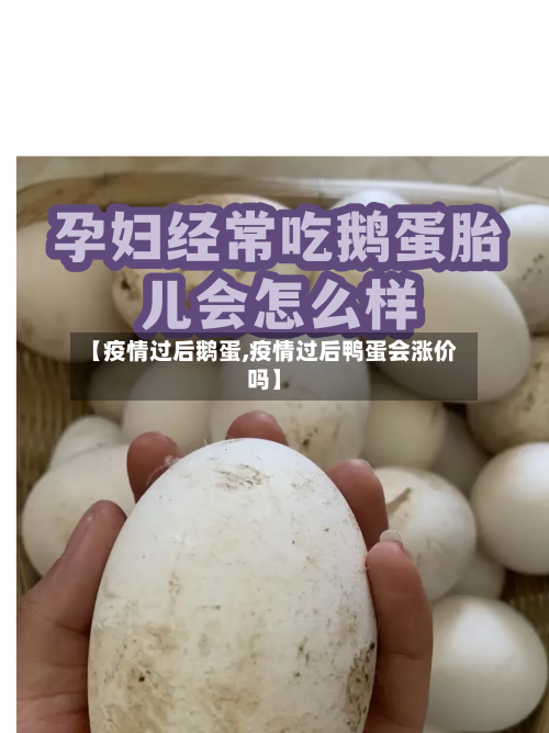 【疫情过后鹅蛋,疫情过后鸭蛋会涨价吗】-第2张图片