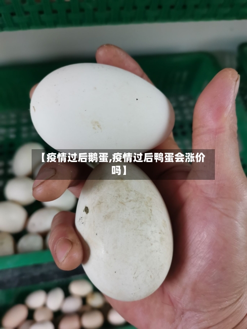 【疫情过后鹅蛋,疫情过后鸭蛋会涨价吗】-第1张图片