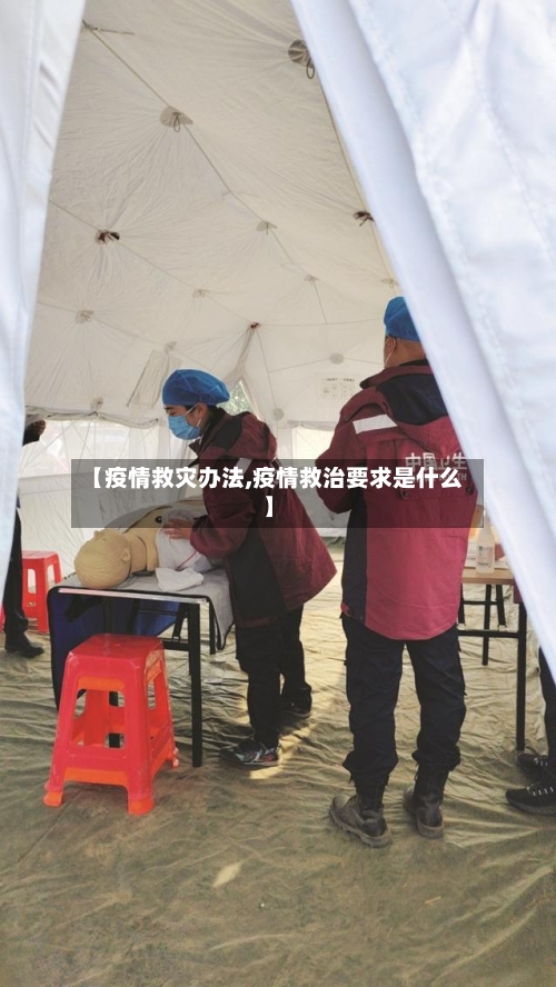 【疫情救灾办法,疫情救治要求是什么】-第2张图片