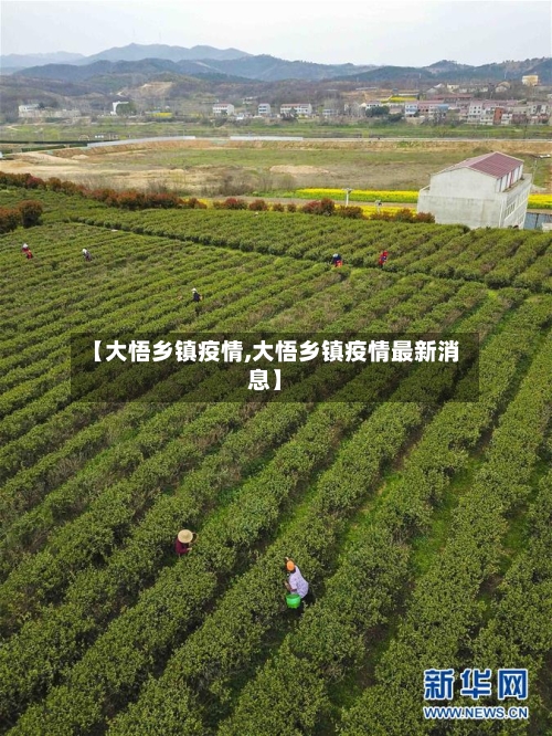 【大悟乡镇疫情,大悟乡镇疫情最新消息】-第1张图片