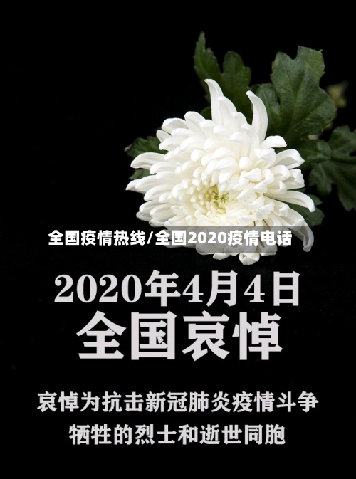 全国疫情热线/全国2020疫情电话-第3张图片
