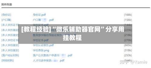 [教程经验]“微乐辅助器官网”分享用挂教程-第2张图片