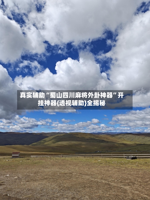 真实辅助“蜀山四川麻将外卦神器”开挂神器{透视辅助}全揭秘