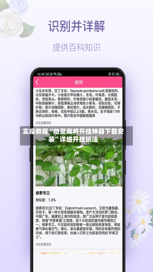 实操教程“哈灵麻将开挂神器下载安装”详细开挂玩法-第3张图片