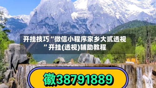 开挂技巧“微信小程序家乡大贰透视	”开挂(透视)辅助教程-第2张图片