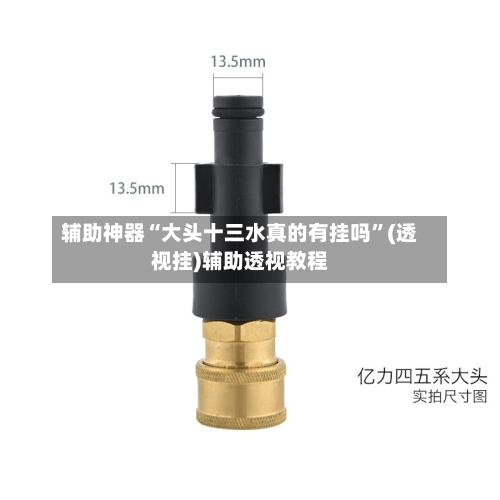 辅助神器“大头十三水真的有挂吗”(透视挂)辅助透视教程-第2张图片