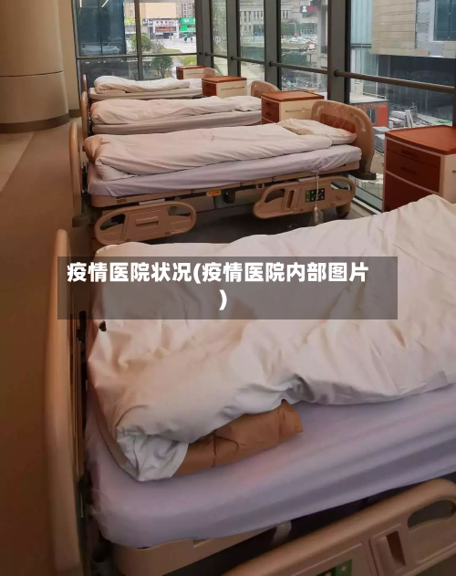 疫情医院状况(疫情医院内部图片)
