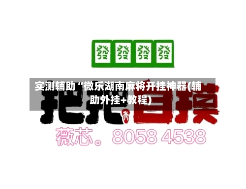 实测辅助“微乐湖南麻将开挂神器(辅助外挂+教程)-第3张图片