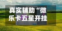 真实辅助“微乐卡五星开挂下载安装	”开挂(透视)辅助-第2张图片