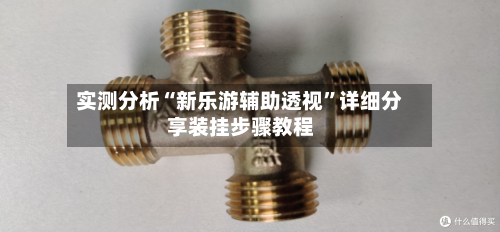 实测分析“新乐游辅助透视”详细分享装挂步骤教程-第3张图片