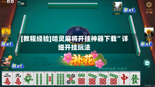 [教程经验]哈灵麻将开挂神器下载”详细开挂玩法-第1张图片
