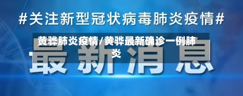 黄骅肺炎疫情/黄骅最新确诊一例肺炎-第2张图片