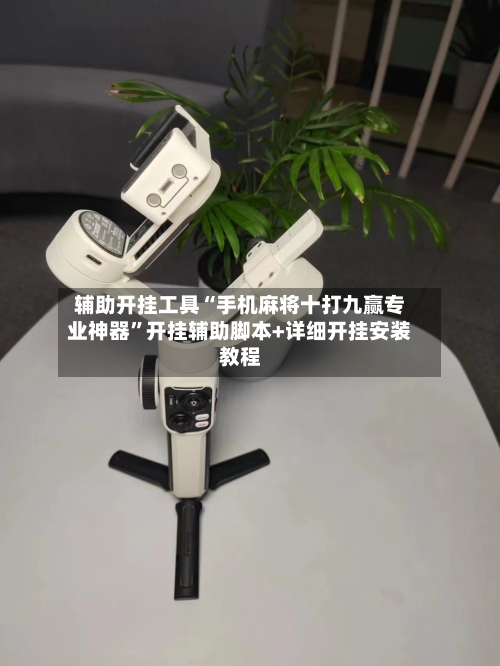 辅助开挂工具“手机麻将十打九赢专业神器	”开挂辅助脚本+详细开挂安装教程-第2张图片