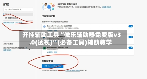 开挂辅助工具“微乐辅助器免费版v3.0(透视)”(必备工具)辅助教学-第2张图片