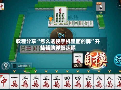 教程分享“怎么透视手机里面的牌”开挂辅助详细步骤-第2张图片