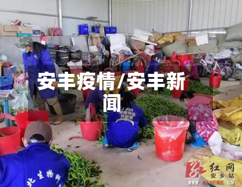 安丰疫情/安丰新闻
