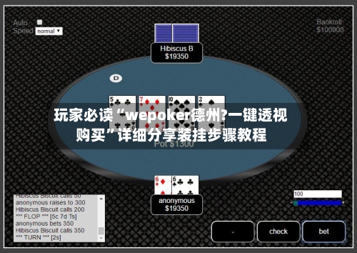 玩家必读“wepoker德州?一键透视购买”详细分享装挂步骤教程-第2张图片