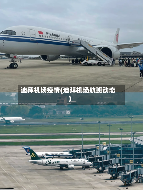 迪拜机场疫情(迪拜机场航班动态)-第3张图片