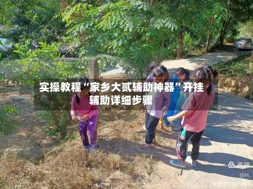 实操教程“家乡大贰辅助神器”开挂辅助详细步骤