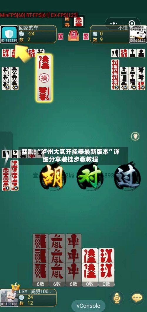 实测!“泸州大贰开挂器最新版本”详细分享装挂步骤教程-第2张图片