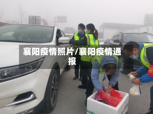 襄阳疫情照片/襄阳疫情通报-第2张图片