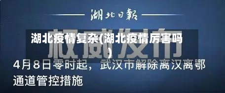 湖北疫情复杂(湖北疫情厉害吗)-第1张图片