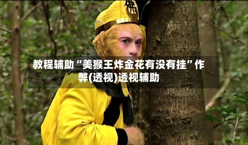 教程辅助“美猴王炸金花有没有挂	”作弊(透视)透视辅助-第3张图片