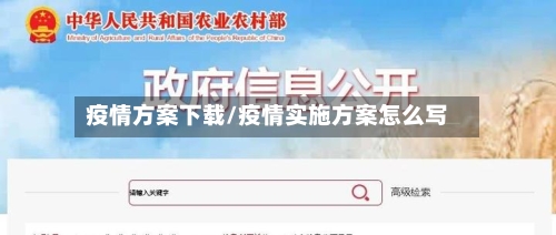 疫情方案下载/疫情实施方案怎么写